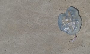 20161021_105131