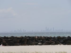 p1120766