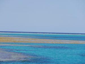 p1130616